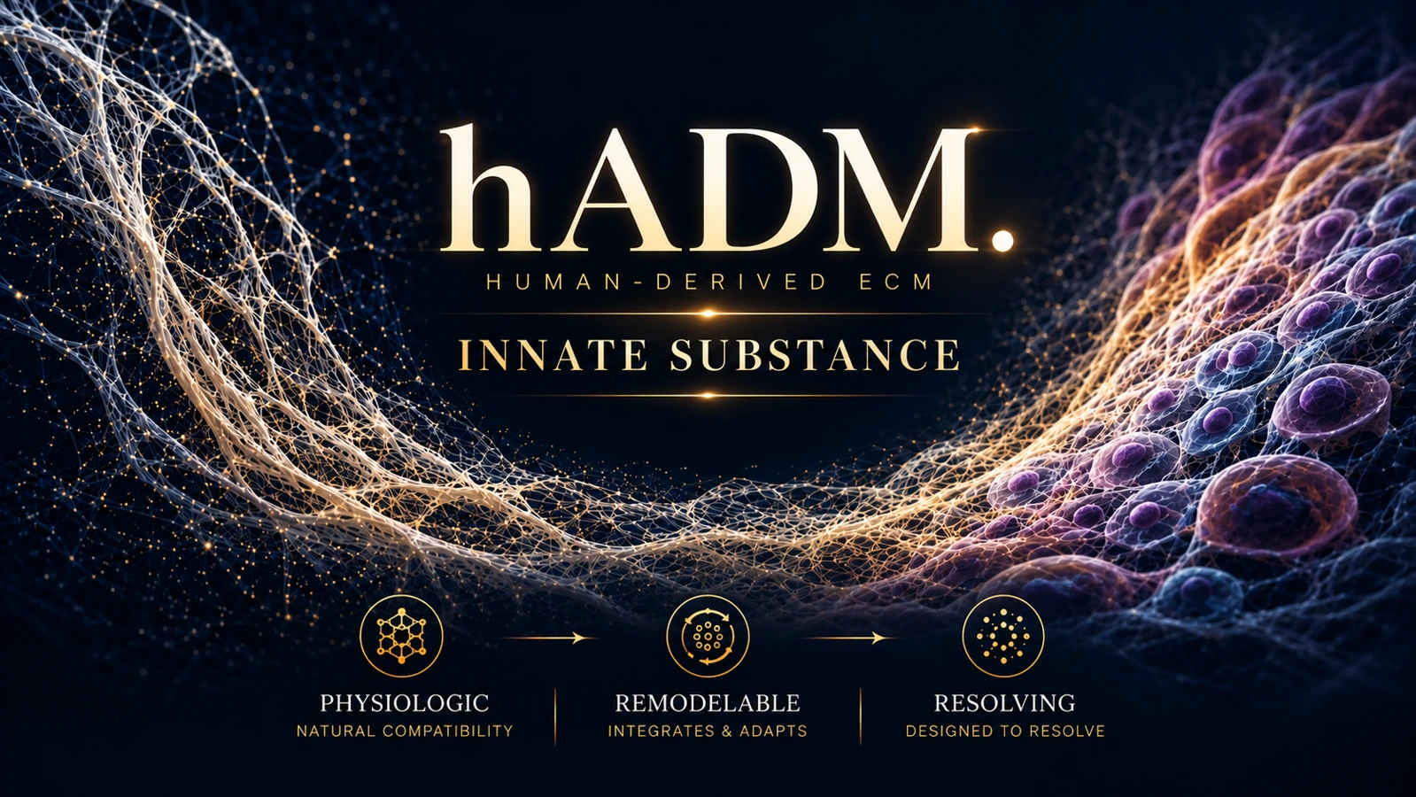 HEBE / CELIVION Lin J / hADM / 인체 유래 세포외기질 개념도